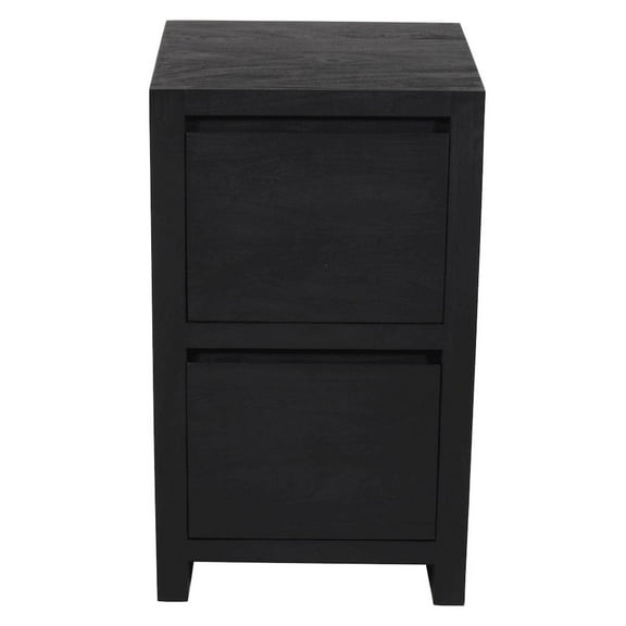 Argyle 2-Drawer File Cabinet in Modern Black Finish on Reclaimed Solid Wood