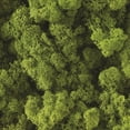thumbnail image 2 of Preserved Reindeer Moss - Premium Decorative Moss for Crafts, Home Décor, Art, Design & DIY Projects - Real Moss - Non-Toxic, USA-Made (Spring Green, Box), 2 of 4