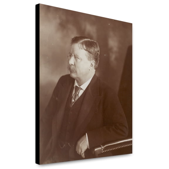 Canvas Print: President Theodore Roosevelt, Sitting Side Face, 1907