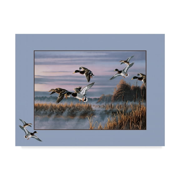 Trademark Fine Art 'Flight Of The Ducks' Canvas Art by Wilhelm Goebel
