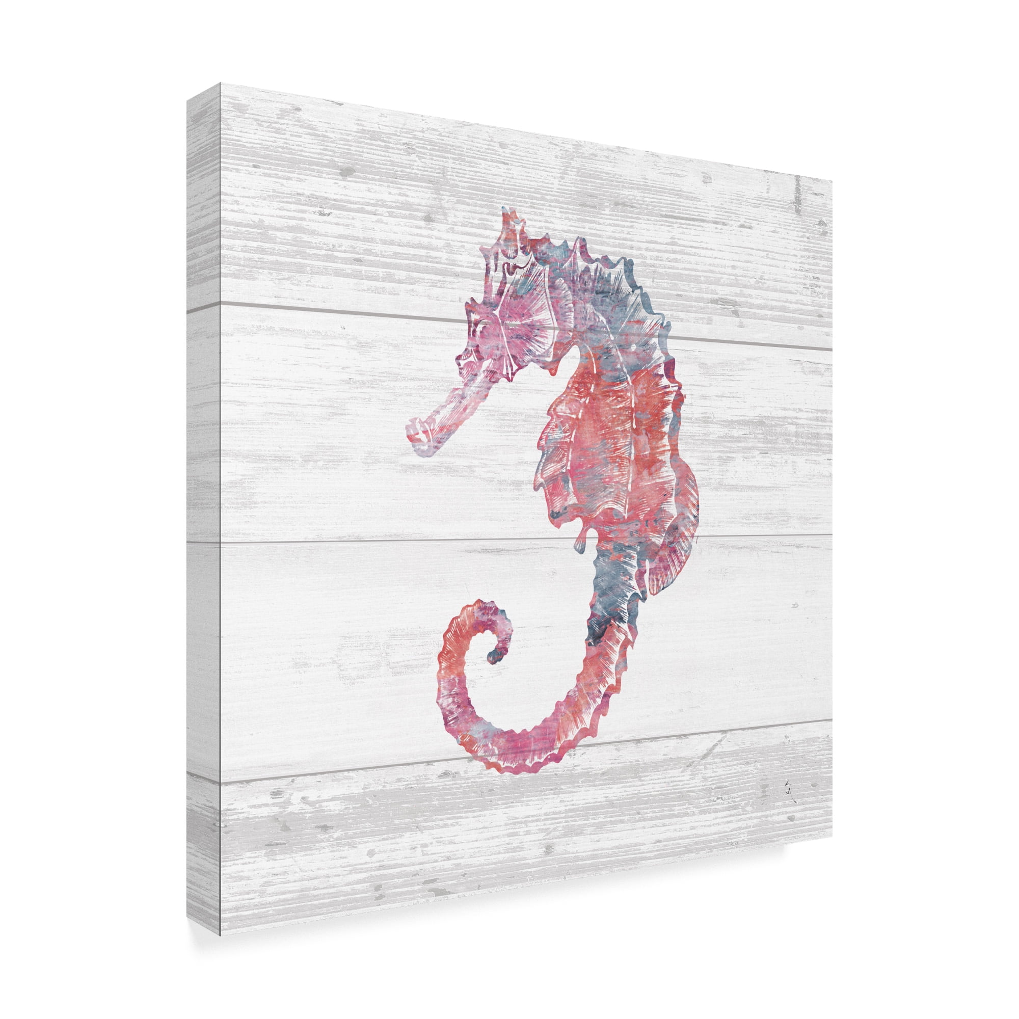 Trademark Fine Art 'Ocean Life III' Canvas Art by Sarah Adams