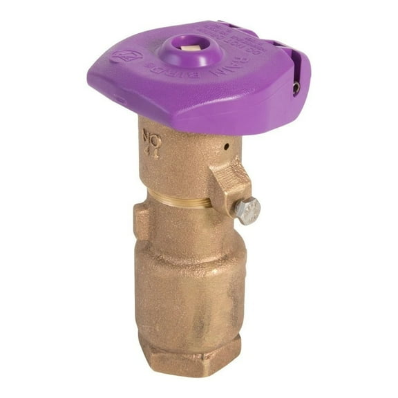 Rain Bird 44NP 1" Non-Potable Quick Coupling Valve Purple Locking Cover Brass
