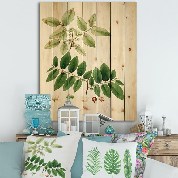 Designart 'Ancient Botanicals XIV' Farmhouse Print on Natural Pine Wood