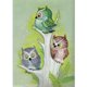 thumbnail image 1 of Diamond Painting (DB1713) Búho Bird 5D Kits Square Wall Handicrafts (SZ534) 40x50cm Hugtrwg Para estrenar, 1 of 1