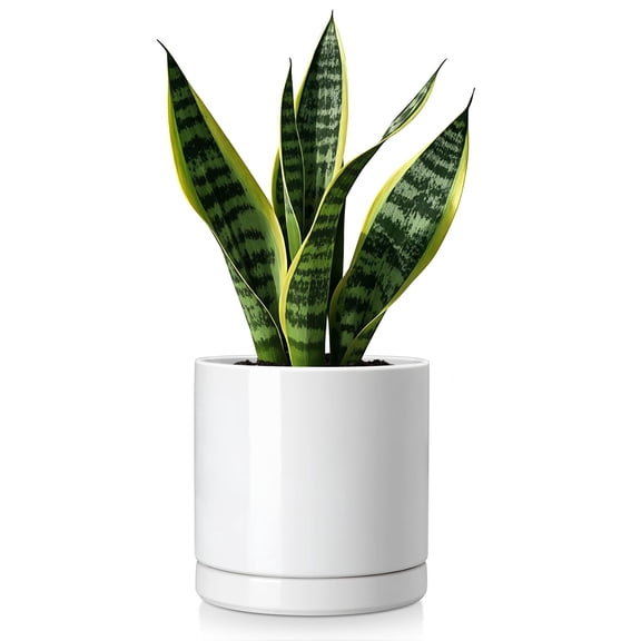 Ceramic Planters, Plant Pots for Indoor Plants, Ceramic Pots for Plants, Flower Pots with Drainage Holes Black