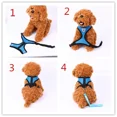 thumbnail image 2 of PUPIX Cat Harness with Leash Adjustable Pet Dog Harness No Pull Puppy Kitten Soft Harness Breathable Mesh Control, 2 of 8