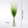 thumbnail image 2 of 10PCS Artificial Pampas Grass Decor – 21.65" Fluffy Bohemian Reed Stems for Wedding, Home, Vase Arrangement (Hypoallergenic, No Shedding), 2 of 5