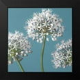 thumbnail image 2 of Frank, Assaf 15x15 Black Modern Framed Museum Art Print Titled - Three Alliums, FTBR-1874, 2 of 5