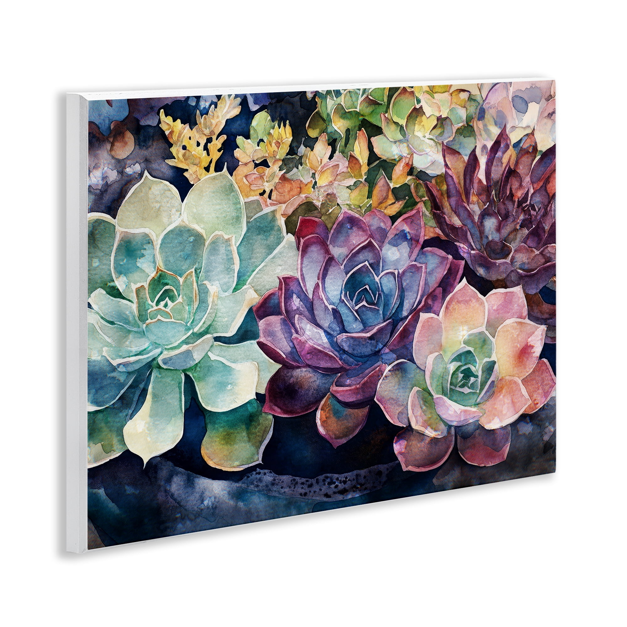 Stupell Industries Tutti Succulents Collection Wall Plaque Art, design by Svetlana Aleynikova