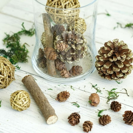 Efavormart 26 Pack Natural Dried Assorted Potpourri Vase Fillers