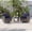 Navy Blue, variant on ACEGOSES 3-Piece Patio Sofa Set Rattan Swivel Rocking Chair Set Side Table Suiting Backyard, Poolside and Patio,Light Gray
