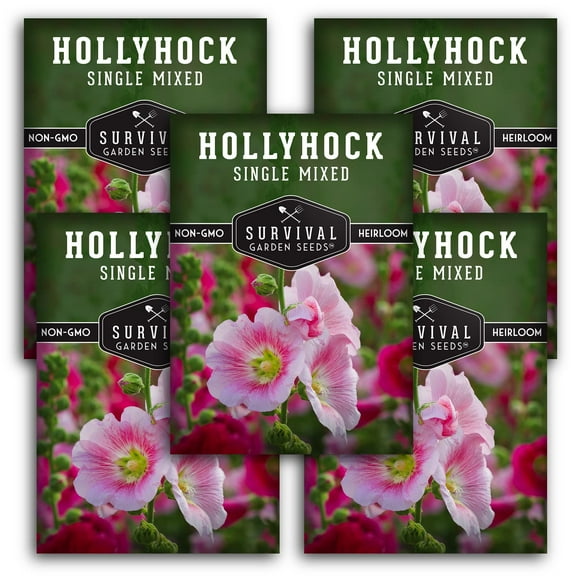 5 Packs Single Mixed Hollyhock Seed - Heirloom Full Sun Biennial Flower
