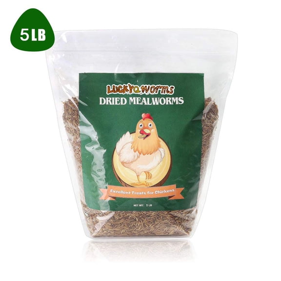 LuckyQworms 5 lbs Dried Mealworms - High Protein All Natural Feed for Birds, Chickens, Reptiles & Pets (Omega-3, Non-GMO, Eco-Friendly)