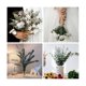 thumbnail image 4 of 20 plantas de eucalipto JINMJMXG Verde natural 17 pulgadas, 4 of 5