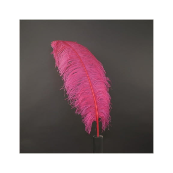 Zucker Feather Products Ostrich Wide Prime Femina Feathers - 24 - 30'' - 6pcs - Pink Orient