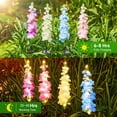 thumbnail image 4 of luces solares para decoración de jardín al aire libre,luces solares impermeables de delfinio mejoradas,luz solar de flores para patio, 4 of 6