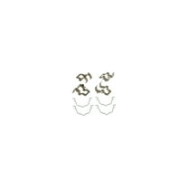Raybestos R-Line Disc Brake Hardware Kit H15725A