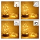 thumbnail image 2 of Lámpara de cadena LED con caja de batería 3AA, lámpara de alambre de cobre, lámpara de botón, lámpara de tapón de botella, cadena de luces, decoración navideña para dormitorio, lámpara de cadena para, 2 of 5
