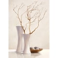 thumbnail image 3 of van der Valk, Karin 14x18 Black Modern Framed Museum Art Print Titled - Willow Twigs I, 3 of 5