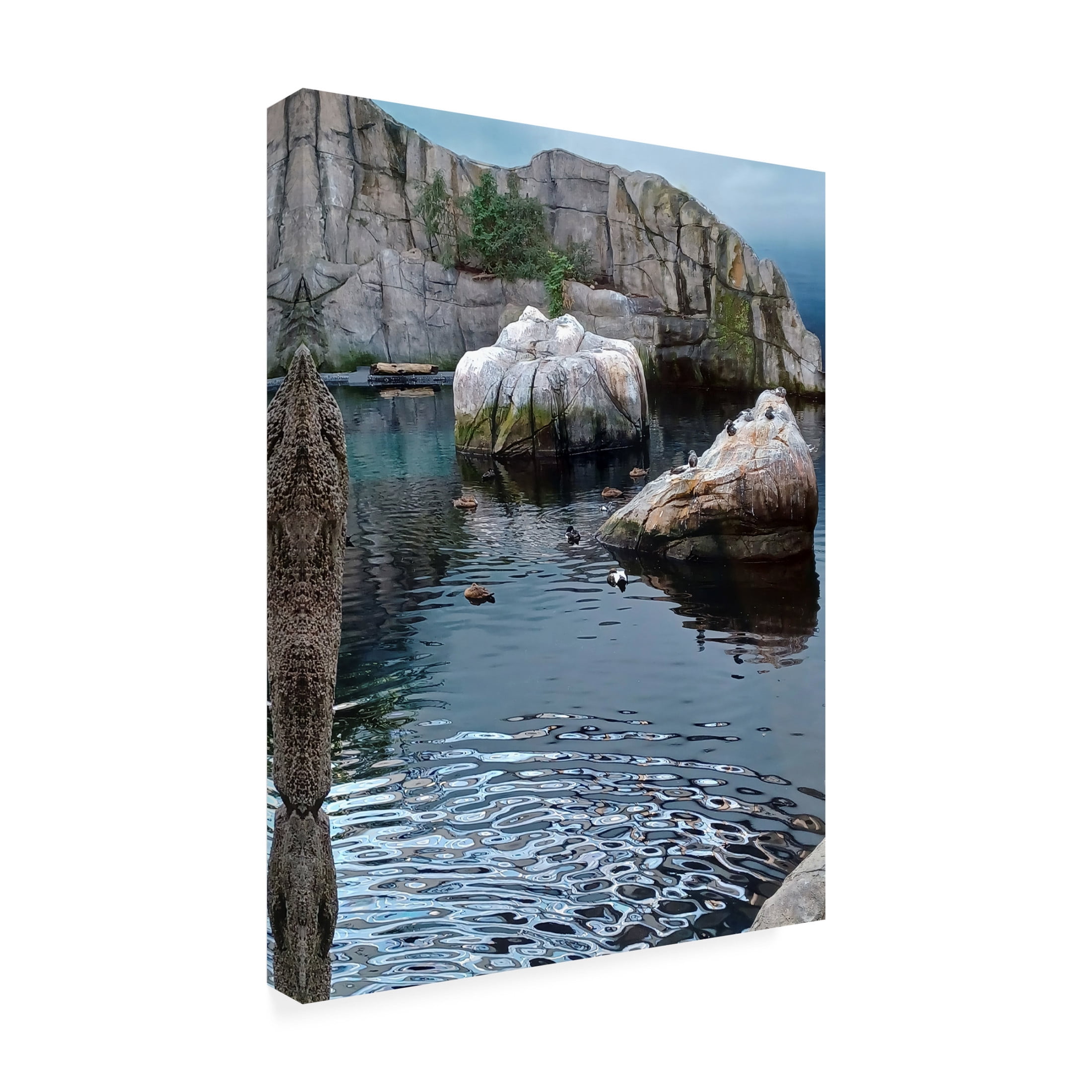 Canvas Wall Art - Clive Branson 'Ducks and Aquatic Birds' Wall Art for Living Room, Bedroom, or Office Décor by Trademark Fine Art - 14 x 19 Inches