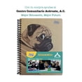 thumbnail image 4 of Pack de 4 Cuadernos Ecológicos Flink Profesional Hoja Rayada, 4 of 8