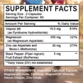 Wellvita Zinc Magnesium with Vitamin B6 Restful Sleep, Anti Stress