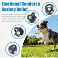 thumbnail image 2 of dog toy soccer ball with handles,Toss and Fetch Play, Interactive Ball for Dogs Playing, Squeaky Floating,for Water Play,Training & Outdoor Games (A+C), 2 of 8