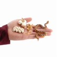 thumbnail image 2 of Juego de figuras Snake Life Cycle, juguete para niños con forma de cobra y boa de arena, 2 of 3
