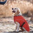 ROZKITCH Lightweight Winter Dog Coat Warm Dog Vest Jacket Water
