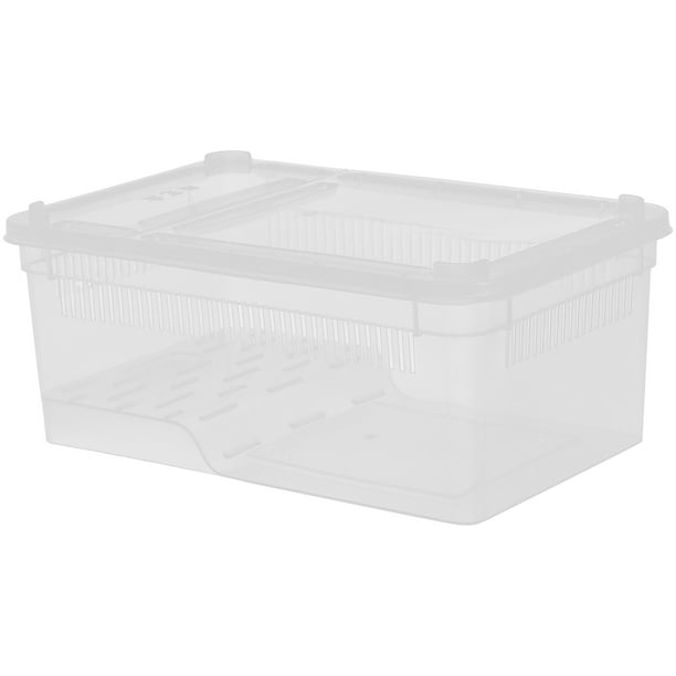 Terrario de plástico transparente para cría de reptiles con orificios transpirables, caja portátil para insectos para lagartos, serpientes, arañas y ranas, ideal para cría y alimentación