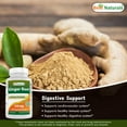 Best Naturals Health Supplements Ginger Root Pills 550mg, 250
