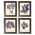 thumbnail image 2 of Gango Home Decor Blue Botanical Study I Lovely Vintage Flowers; Four 8x10in Art Prints in Brown Frames, 2 of 7
