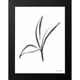 thumbnail image 2 of Seven Trees Design 15x18 Black Modern Framed Museum Art Print Titled - Black Botanical Watercolor, 2 of 5