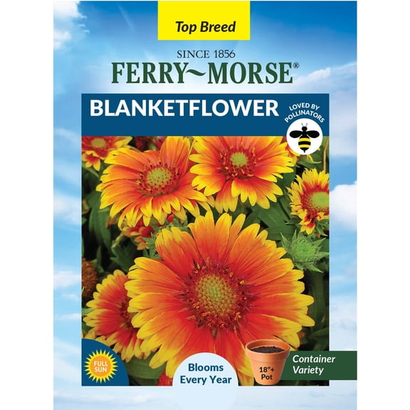 Ferry-Morse 120MG Blanketflower Perennial Flower Seeds, Full Sun