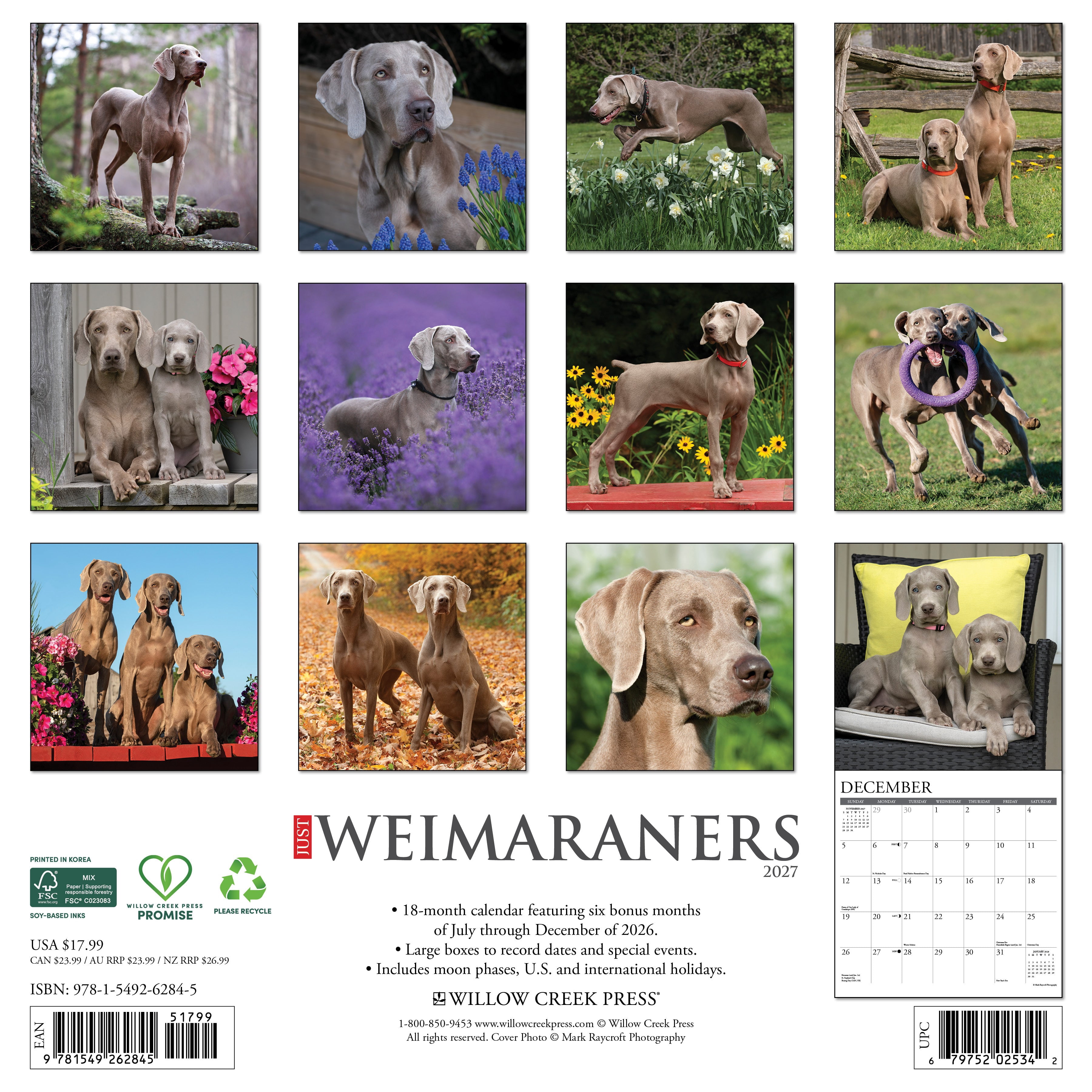 Willow Creek Press, Weimaraners 2027 Wall Calendar
