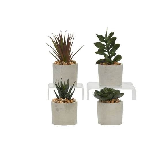 Assorted Succulents in Mini Cement Cylinders - Set of 4