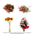 thumbnail image 1 of Consumer bunch mediano a elegir por pieza, 1 of 4