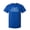 Royal Blue, variant on If You Met My Family, You Would Understand Sarcastic Humor Graphic Novelty Funny Tall T Shirt