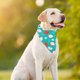 thumbnail image 4 of Traje de boda para fiesta de perros, suministros para mascotas, ropa para perros, vestido para perros, esmoquin, ropa para mascotas 2133, 4 of 5