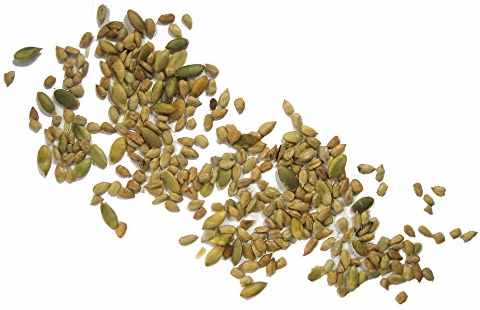 Good Sense Roasted & Salted Sunflower & Pumpkin Seed Mix 8 oz (Pack of 4)