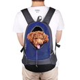 thumbnail image 1 of Pet Carrier Backpack, Dog Cat Front Pack With Breathable Head Out Design compatible Small Medium Dogs compatible T_Gift Of G, 1 of 2