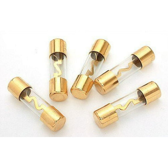 Absolute AGU100 5 Pack AGC Gold Standard Glass Fuses 100 Amp 12 Volts Car Stereo Access