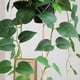 thumbnail image 5 of Planta Colgante Artificial de Pothos Elytus con Maceta Verde, 5 of 8