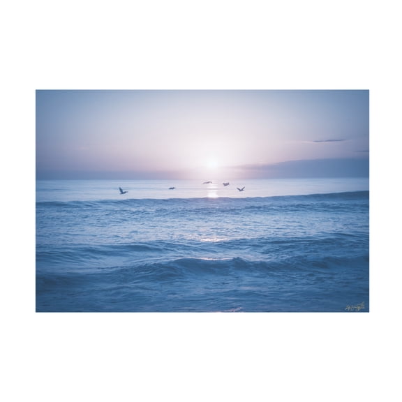 Canvas Wall Art - Life BeautifuLEE 'Ocean Birds In Flight' Wall Art for Living Room, Bedroom, or Office Décor by Trademark Fine Art - 19 x 12 Inches