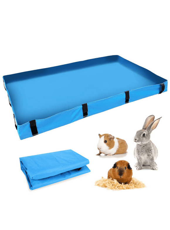 Guinea Pig Bedding in Guinea Pigs