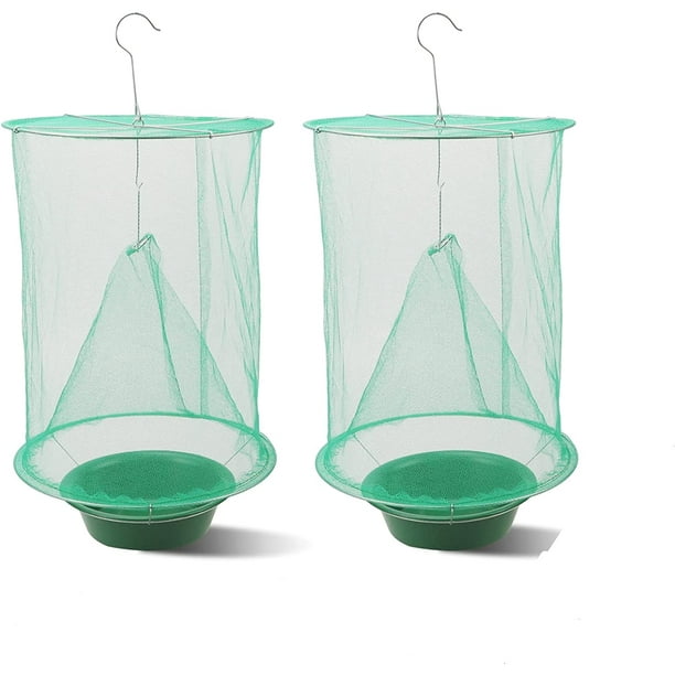 Most effective outlet indoor fly trap