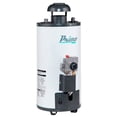thumbnail image 3 of Calentador de Paso Iusa Primo Plus 6 L Gas Natural, 3 of 6