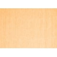 thumbnail image 1 of Ahgly Company Indoor Rectangle Solid Orange Modern Area Rugs, 4' x 6', 1 of 1