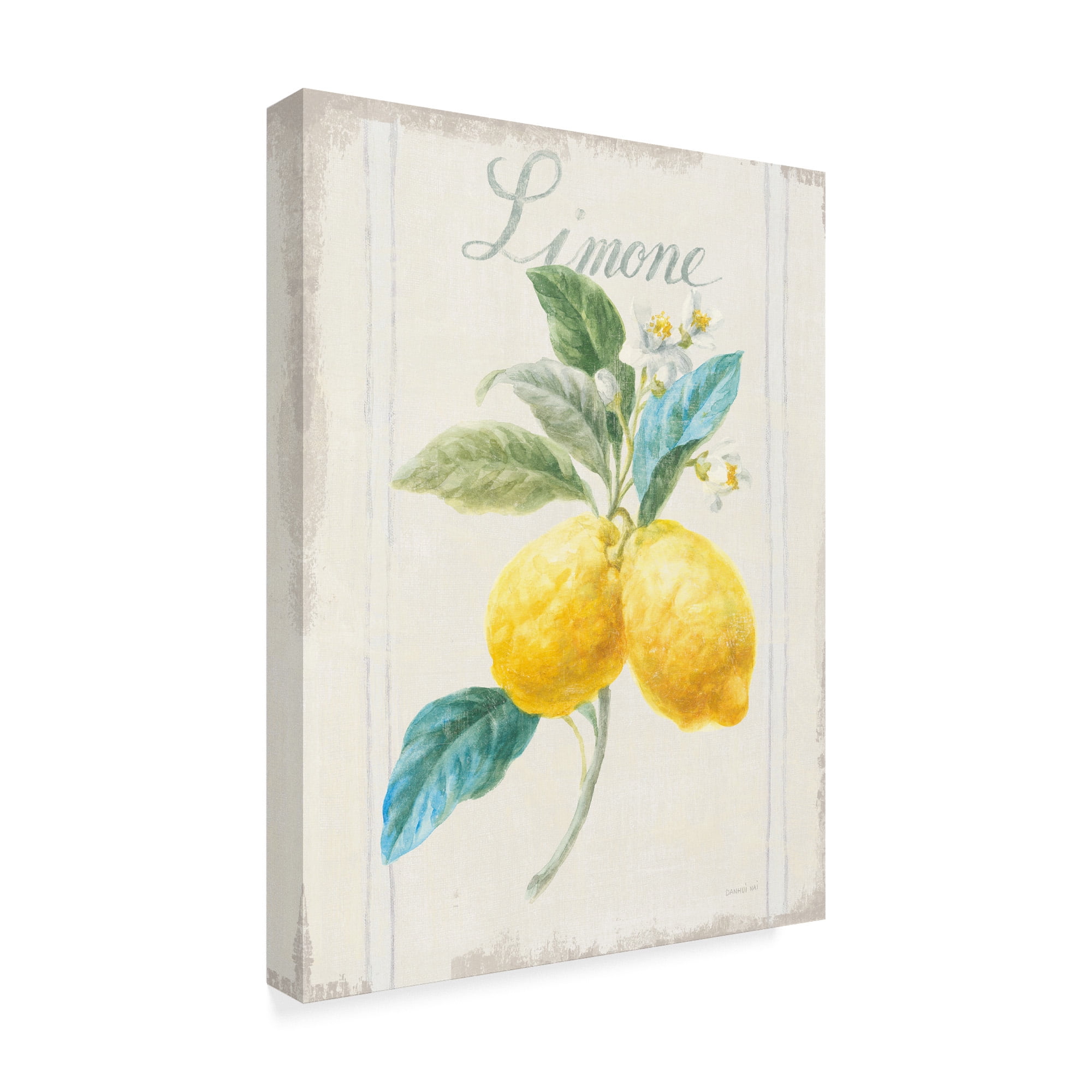Trademark Fine Art 'Floursack Lemon III v2' Canvas Art by Danhui Nai