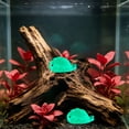 thumbnail image 5 of Tuvgenk Glow Fish Tank Ornament Mini Seal, Luminous Aquarium Decor Night Light, Cute Seal Statue for Bettas Shrimp Tank, Underwater Glowing Figurine, 5 of 6